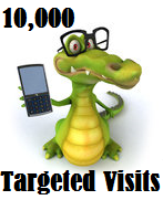 10,000 Targeted Visitors