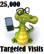 25,000 Targeted Visitors
