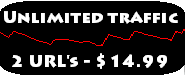 1 Year of Traffic - 2 URL's