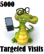5000 Targeted Visitors